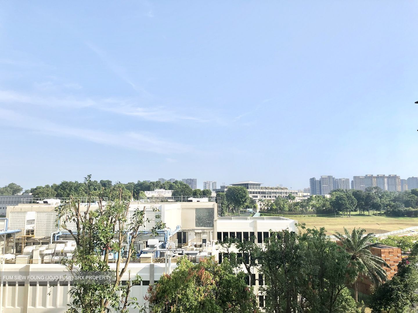 Botanic Gardens Mansion (D10), Apartment #578591661